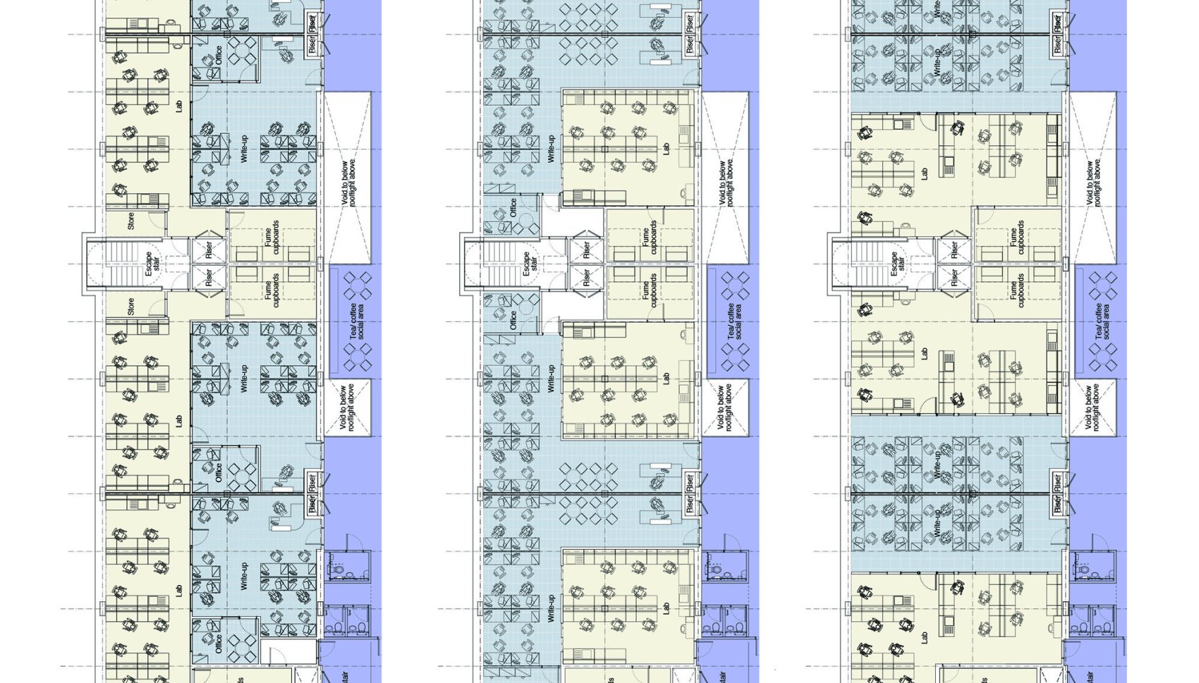 Bio-Escalator project