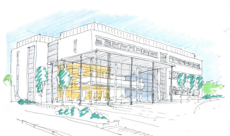 School of Business and Management