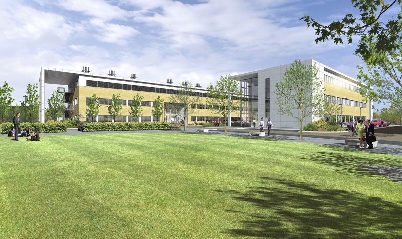 School of Business and Management