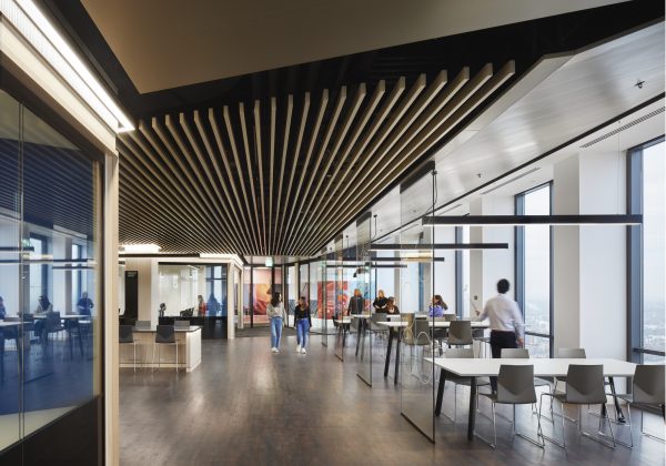 School of Management