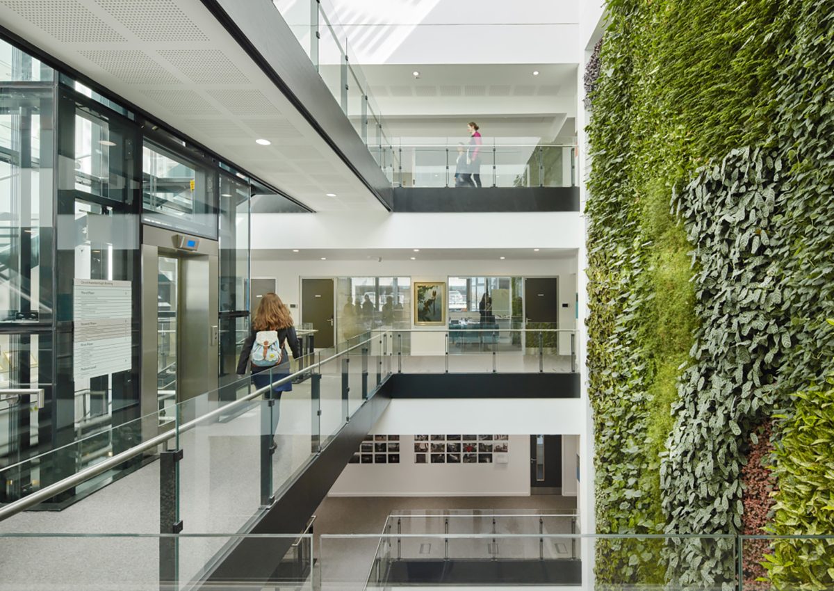 RIBA Great British Buildings Series