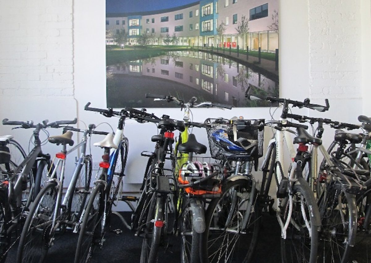 Environmental Roadmap