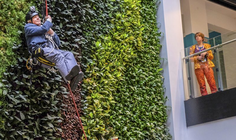 Sir David Attenborough opens namesake building