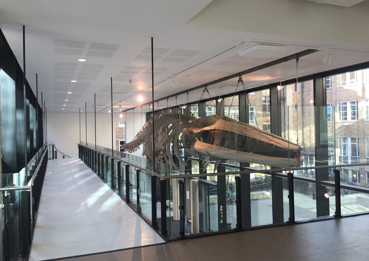 AJ Architecture Awards