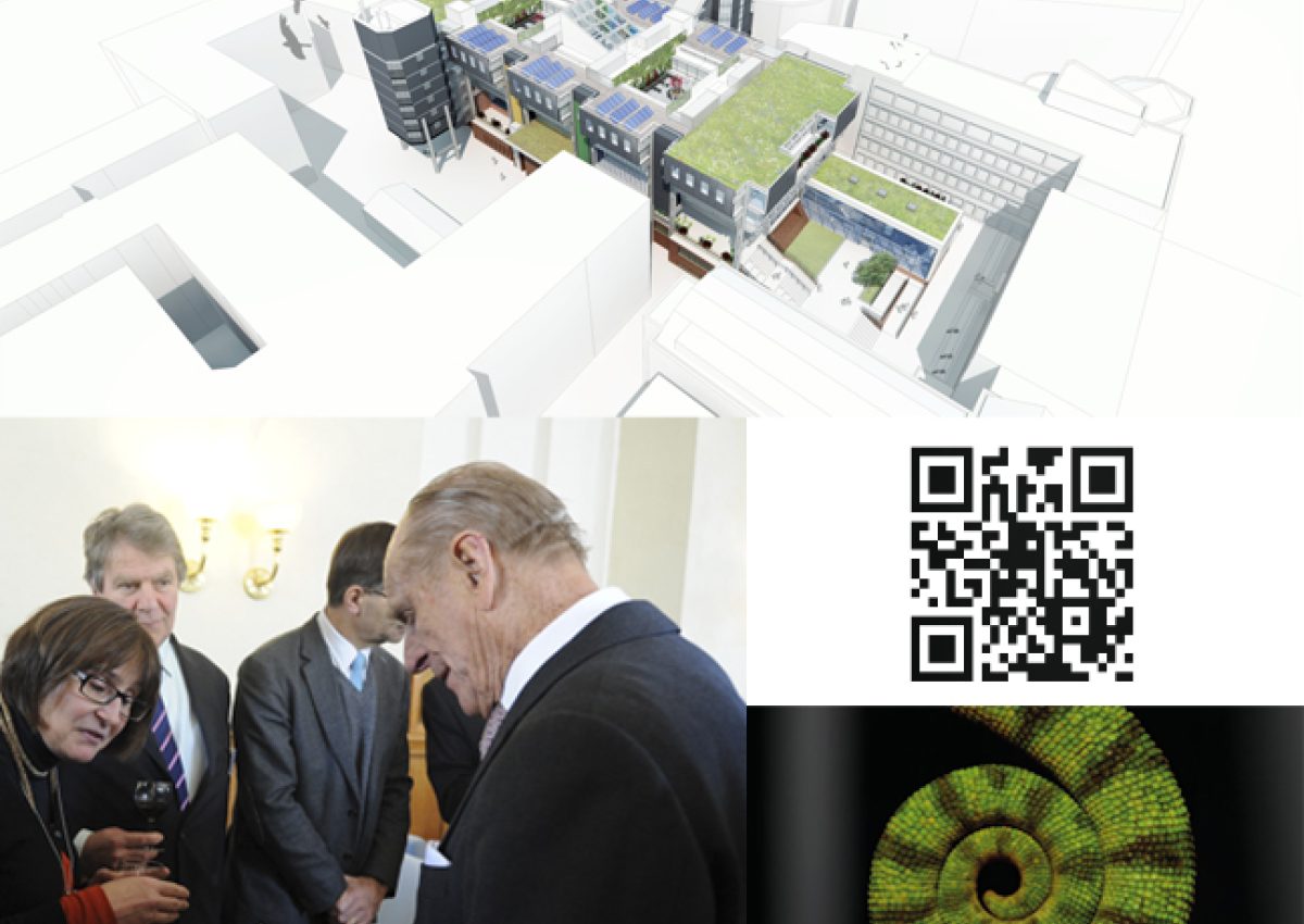 Cambridge Conservation Initiative launched