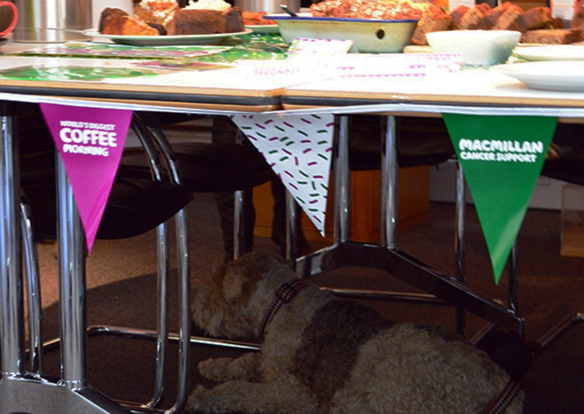 Macmillan Coffee Morning