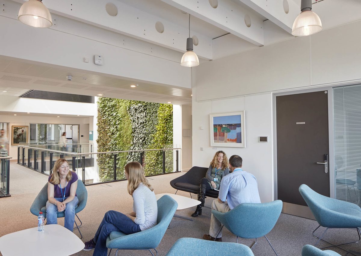 Cambridge University Festival of Ideas - The David Attenborough Building: A Space to Collaborate