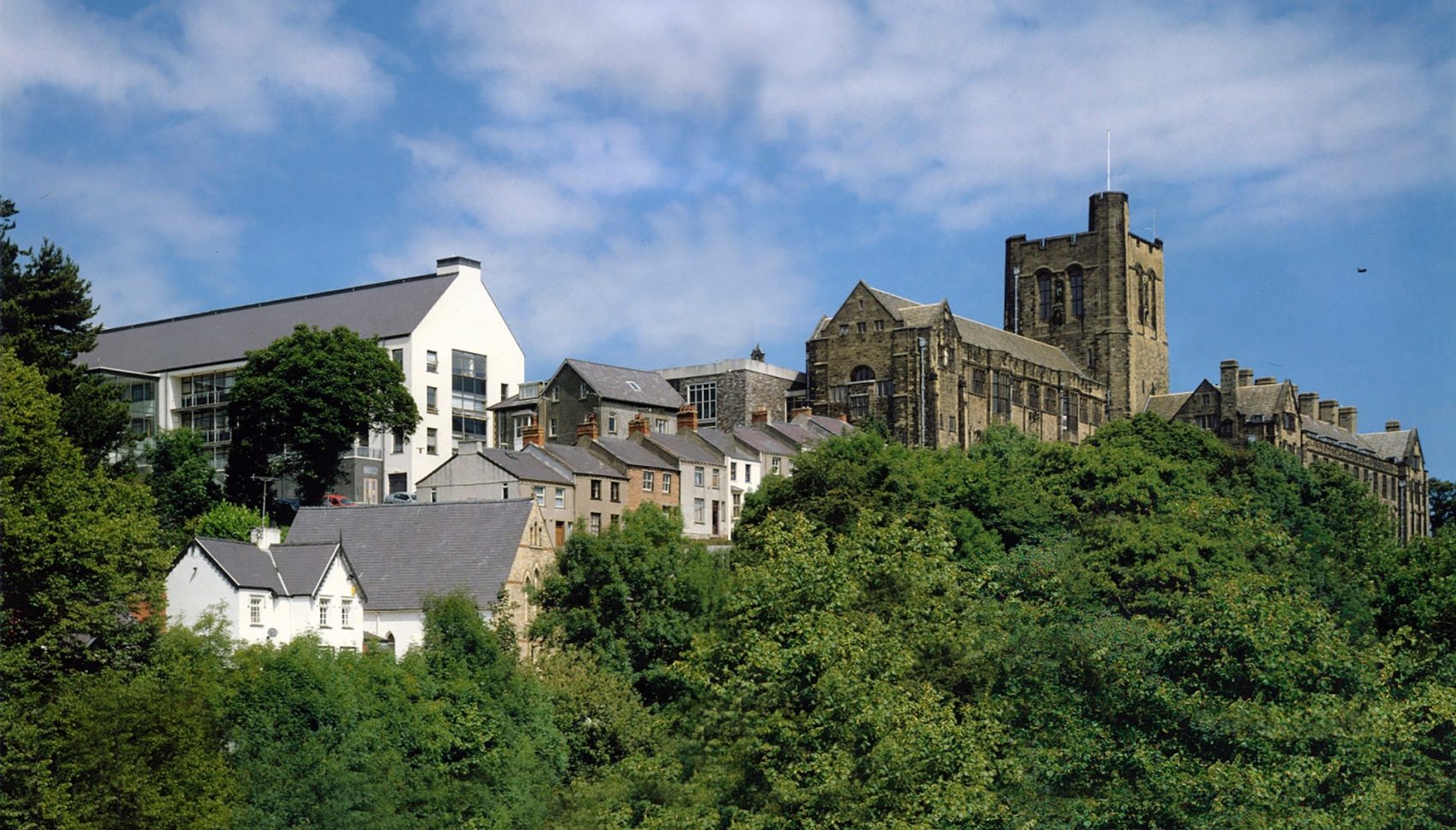 Department of Psychology