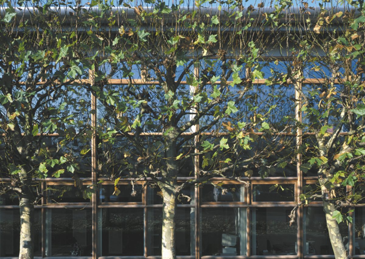 Zero Carbon Non Domestic Buildings by 2019