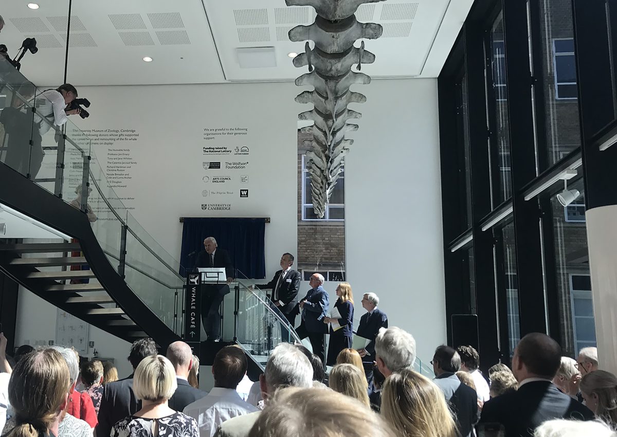 Museum of Zoology Opens