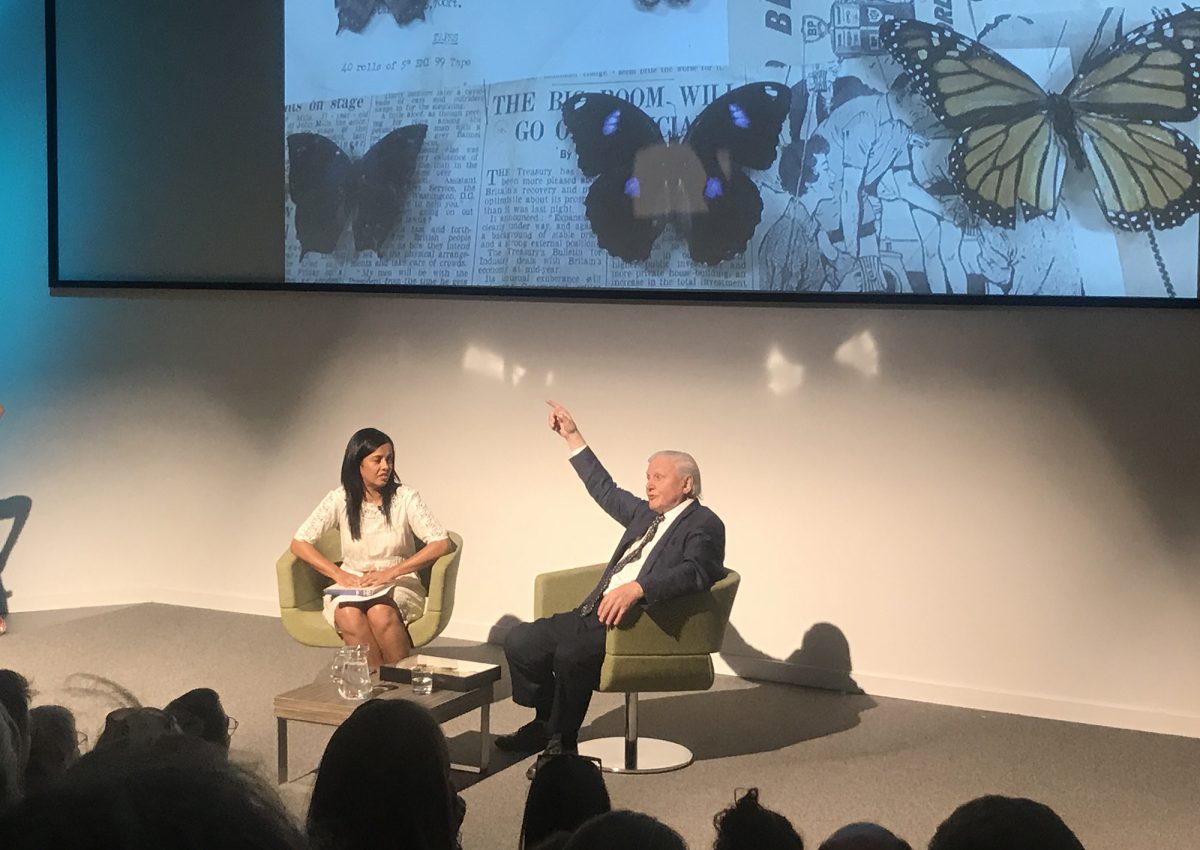 Museum of Zoology Opens