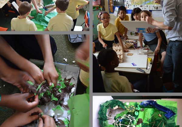 Open City & Nicholas Hare Architects