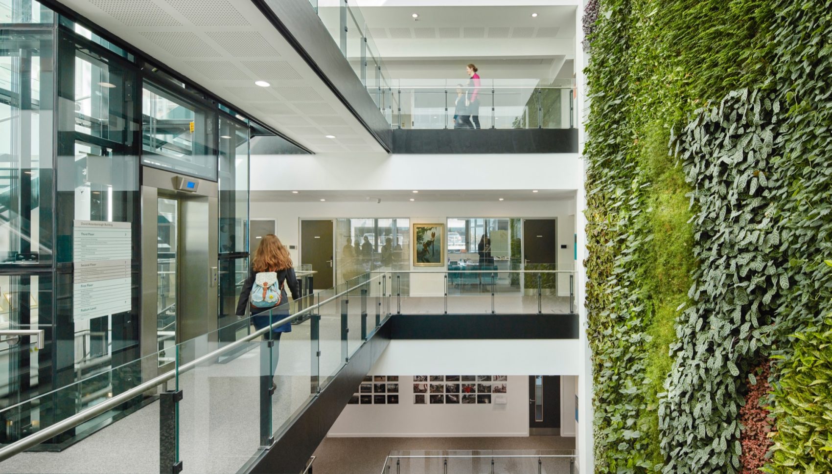 The David Attenborough Building