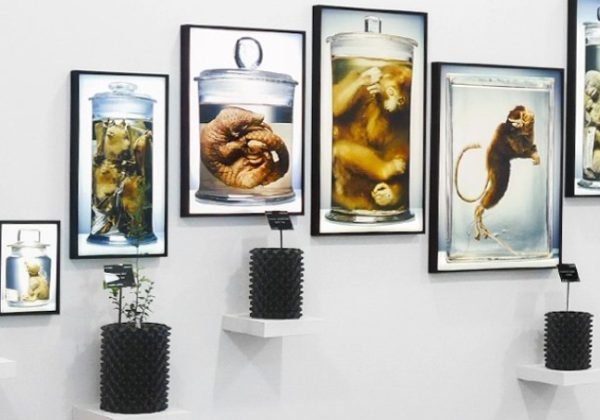 Ackroyd & Harvey Art Exhibition