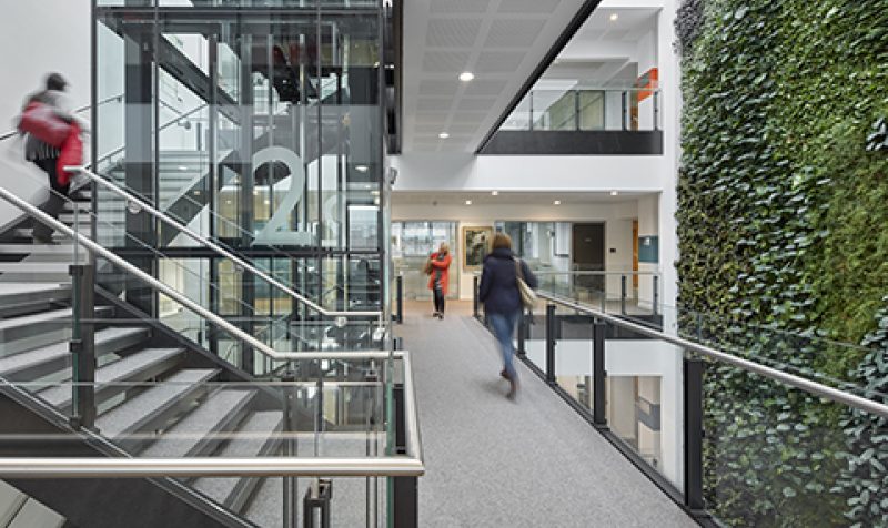 Cambridge University Festival of Ideas - The David Attenborough Building: A Space to Collaborate