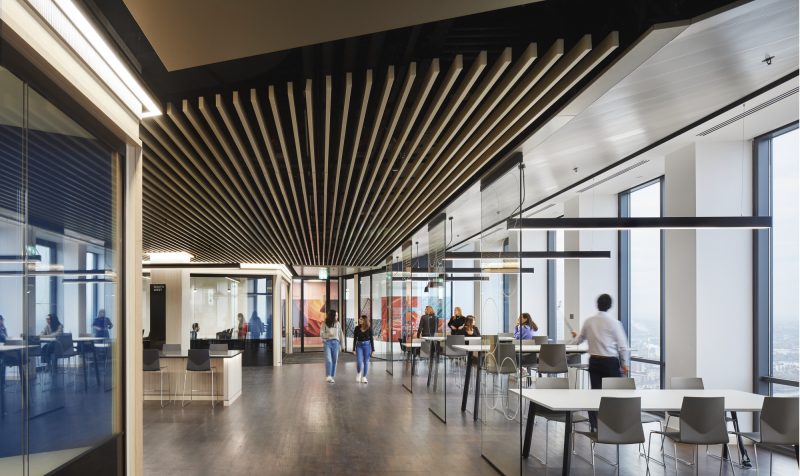 School of Management